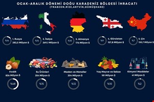 DOĞU KARADENİZ BÖLGESİ İHRACATI  2024 YILINI YÜZDE 27 ARTIŞLA TAMAMLADI