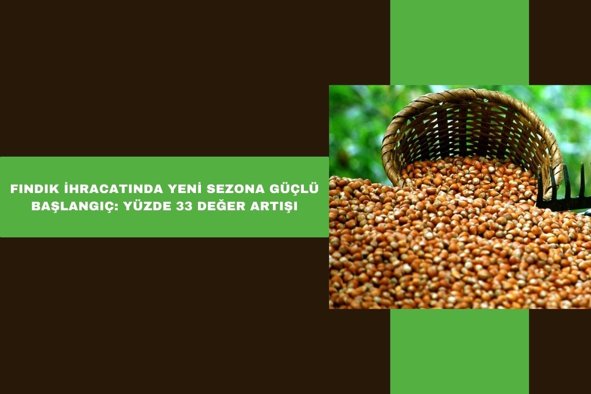 FINDIK İHRACATINDA YENİ SEZONA GÜÇLÜ BAŞLANGIÇ: YÜZDE 33 DEĞER ARTIŞI