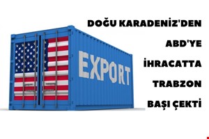 DOĞU KARADENİZ BÖLGESİNDEN AMERİKA BİRLEŞİK DEVLETLERİNE EN FAZLA İHRACATI TRABZON İLİ GERÇEKLEŞTİRİYOR 