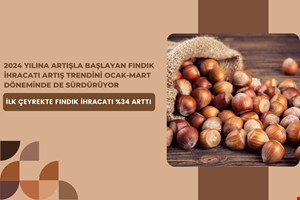 2024 YILINA ARTIŞLA BAŞLAYAN FINDIK İHRACATI ARTIŞ TRENDİNİ YILIN İLK ÇEYREĞİNDE DE SÜRDÜRÜYOR  