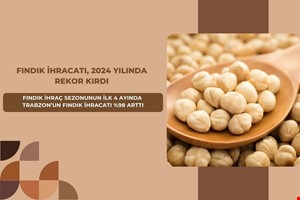 FINDIK, 2024 YILINDA TÜM SEKTÖRLER İÇERİSİNDE EN YÜKSEK İHRACAT ARTIŞINI SAĞLAYAN SEKTÖR OLDU