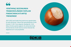YENİ İHRAÇ SEZONUNDA TRABZON İLİNDEN YAPILAN FINDIK İHRACATI ARTIŞ TRENDİNDE  