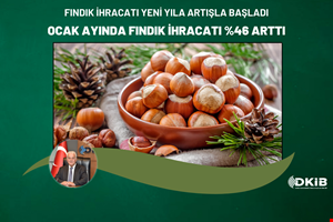 FINDIK İHRACATI YENİ YILA ARTIŞLA BAŞLADI