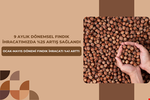 9 AYLIK DÖNEMSEL FINDIK İHRACATIMIZDA %25 ARTIŞ SAĞLANDI