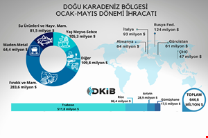 DOĞU KARADENİZ'DEN 5 AYDA 645 MİLYON DOLAR İHRACAT GERÇEKLEŞTİRİLDİ