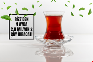 RİZE'DEN 4 AYDA 2,8 MİLYON $ ÇAY İHRACATI
