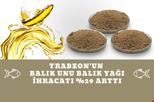 TRABZON'UN BALIK UNU BALIK YAĞI İHRACATI %29 ARTTI