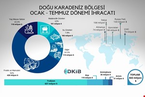 DOĞU KARADENİZ BÖLGESİ İHRACATINDA ARTIŞ TRENDİ DEVAM EDİYOR