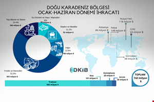DOĞU KARADENİZ BÖLGESİ İHRACATLA YÜKSELİYOR