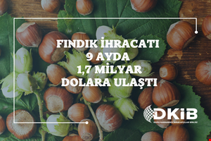 FINDIK İHRACATI 9 AYDA 1,7 MİLYAR DOLARA ULAŞTI