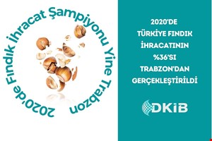 FINDIK İHRACATININ %36'SI TRABZON'DAN