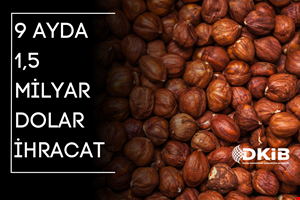 9 AYDA 1,5 MİLYAR DOLAR FINDIK İHRACATI GERÇEKLEŞTİRİLDİ