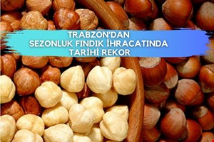 TRABZON'DAN SEZONLUK FINDIK İHRACATINDA TARİHİ REKOR