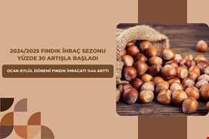 2024/2025 FINDIK İHRAÇ SEZONU YÜZDE 30 ARTIŞLA BAŞLADI