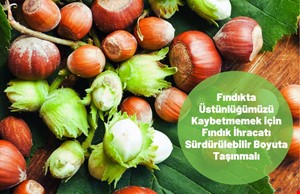 FINDIK İHRACATIMIZI SÜRDÜRÜLEBİLİR BOYUTA TAŞIMAMIZ GEREKİYOR