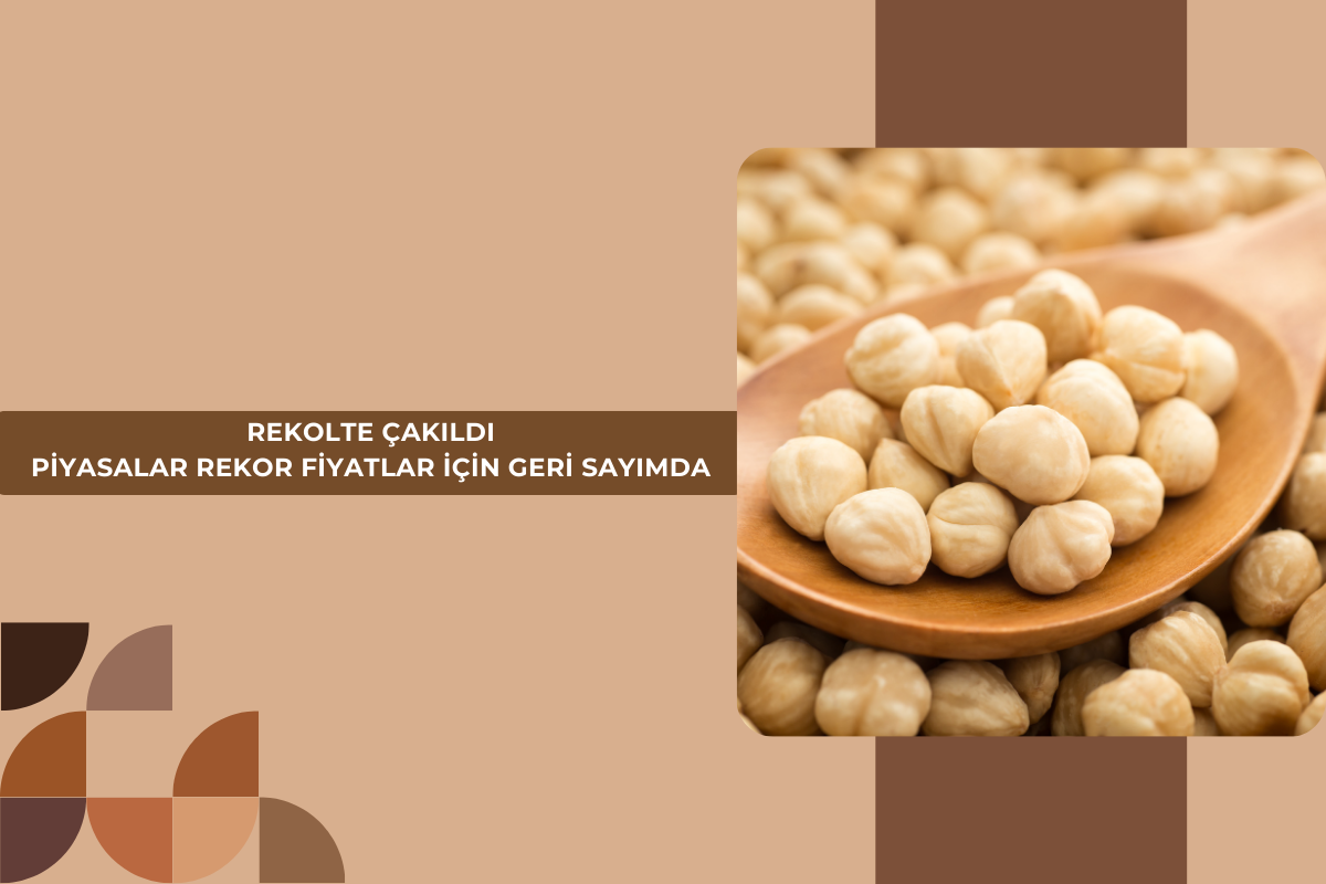 REKOLTE ÇAKILDI PİYASALAR REKOR FİYATLAR İÇİN GERİ SAYIMDA