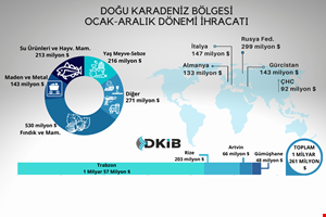 DOĞU KARADENİZ BÖLGESİ İHRACATI 2023 YILINI DÜŞÜŞLE TAMAMLADI