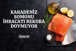 KARADENİZ SOMONU İHRACATI REKORA DOYMUYOR