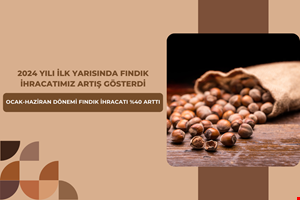 2024 YILI İLK YARISINDA FINDIK İHRACATIMIZ %40 ARTIŞ GÖSTERDİ