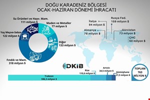YILIN İLK YARISINDA DOĞU KARADENİZ'DEN YAPILAN İHRACAT 763 MİLYON DOLARA ULAŞTI