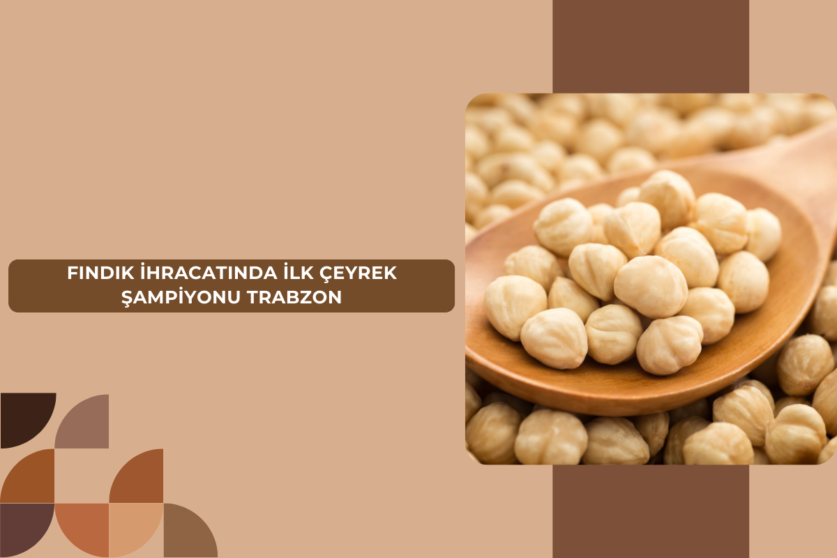 FINDIK İHRACATINDA İLK ÇEYREK ŞAMPİYONU TRABZON