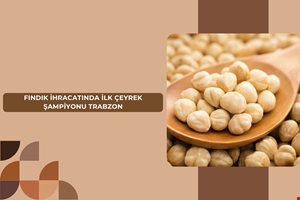 FINDIK İHRACATINDA İLK ÇEYREK ŞAMPİYONU TRABZON