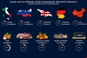 DOĞU KARADENİZ BÖLGESİNDEN YILIN İLK  5 AYDA 681 MİLYON DOLAR İHRACAT GERÇEKLEŞTİRİLDİ